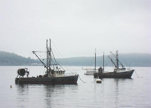 Bar Harbor